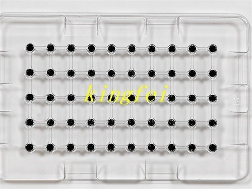 FUJI 2AGKNX001700 1.3 মিমি NXT H24 H24G H24S H24A ওয়ার্কিং হেড ডোজ